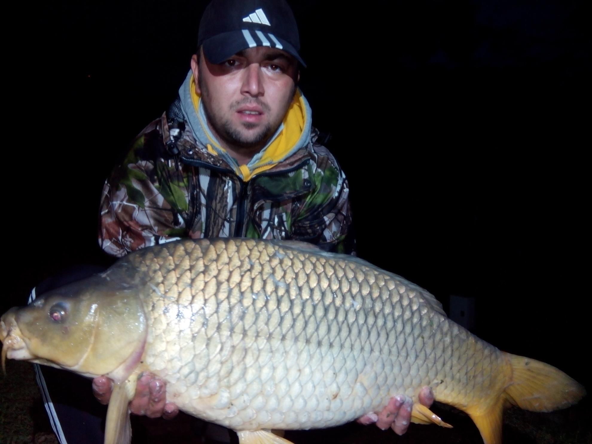 2014 - img20141002192657.jpg